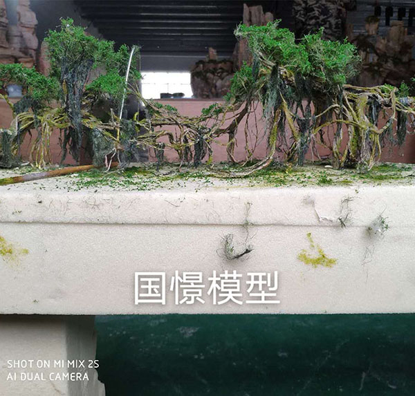 同德县场景模型